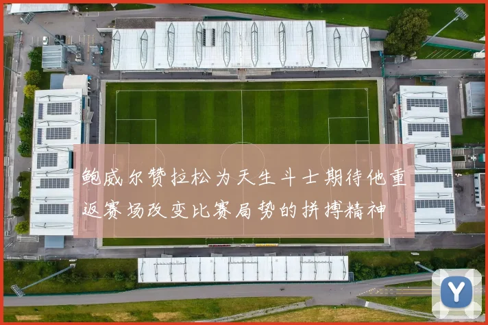 鲍威尔赞拉松为天生斗士期待他重返赛场改变比赛局势的拼搏精神