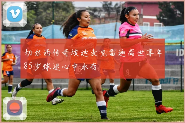 切尔西传奇埃迪麦克雷迪离世享年85岁球迷心中永存