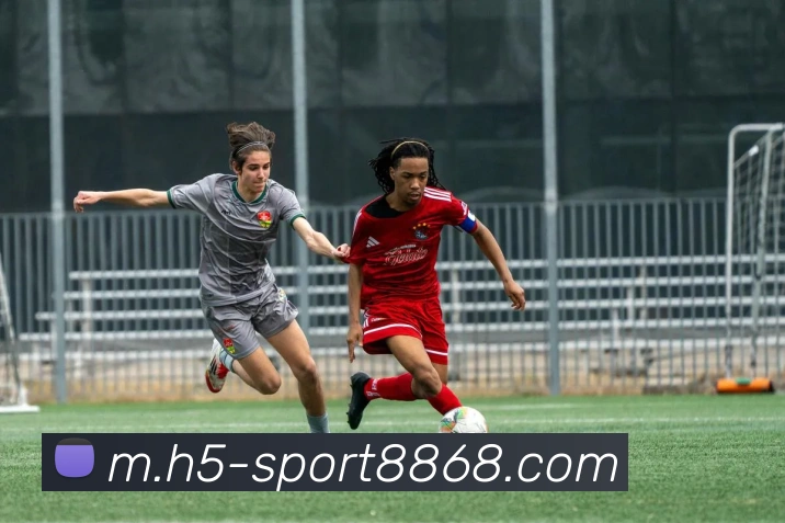 多媒体互动体验